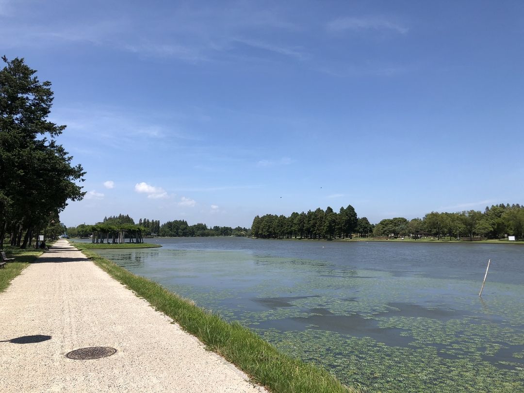 都立水元公園