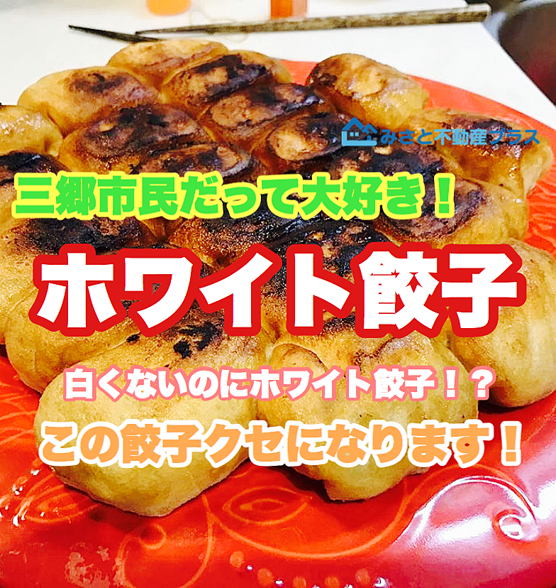 【三郷市食べ歩きブログ】所JAPANで「ホワイト餃子」の特集してましたね！ご存知かと思いますが、三郷市にも「ホワイト餃子」あります！