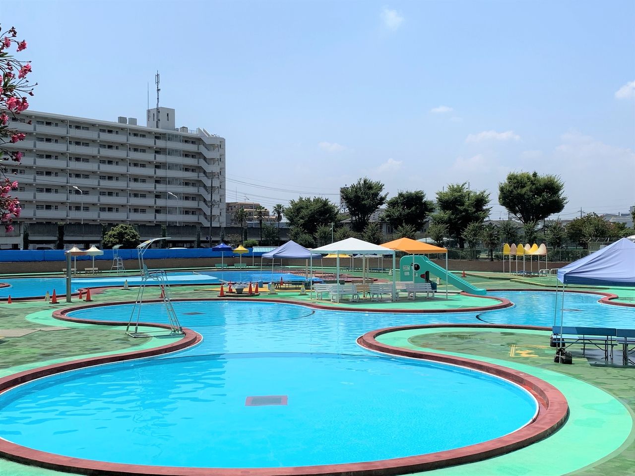今年の「早稲田公園プール」の営業は中止のようです･･･