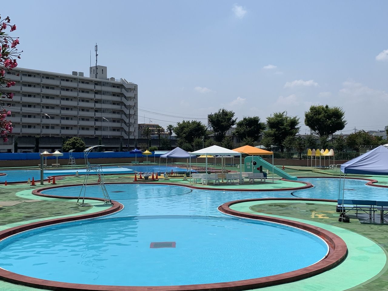早稲田公園敷地内。夏季はプールもやっています。営業時間：9:00～12:00 ・13:30～16:30 　小・中学生150円