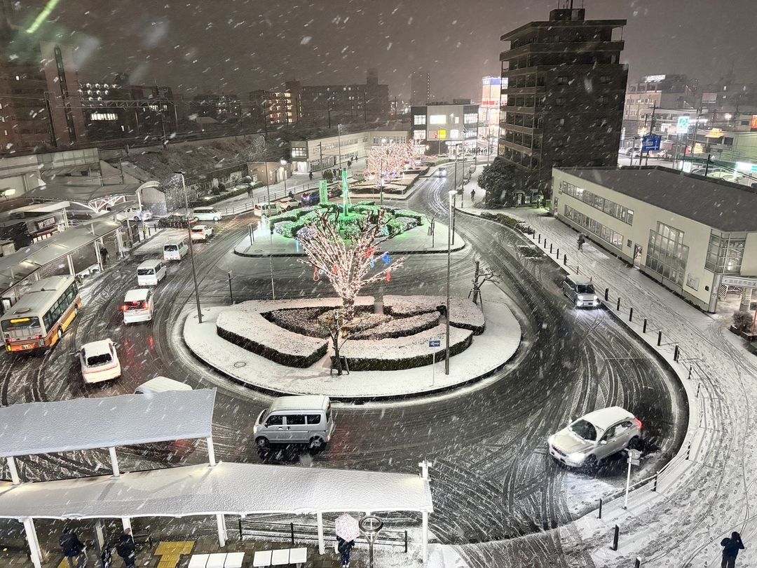 【ちゃんしーブログ2024 】～5回目～今年も三郷市に雪が降ってきました！今日の雪は大雪？吹雪？暴吹雪？難しい専門用語、、