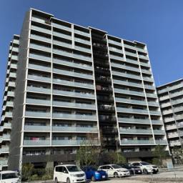 プレイズ三郷中央 6階 三郷中央駅徒歩2分 3LDK 新和小学区 プレイズ三郷中央6階【リフォーム済み物件】