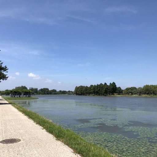 都立水元公園 都立水元公園まで約940m